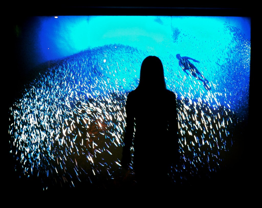 Osaka Aquarium Kaiyukan