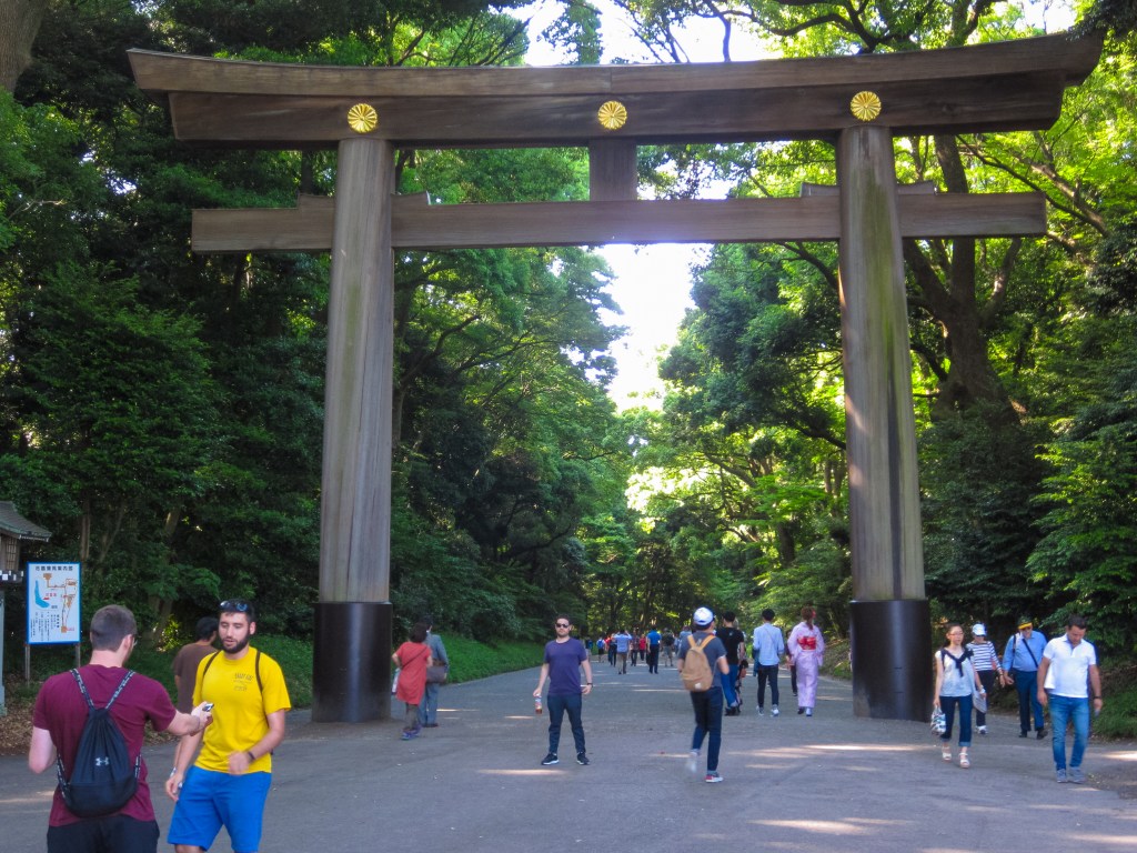 Meiji Jingu Torii Gate, Forest Entrance