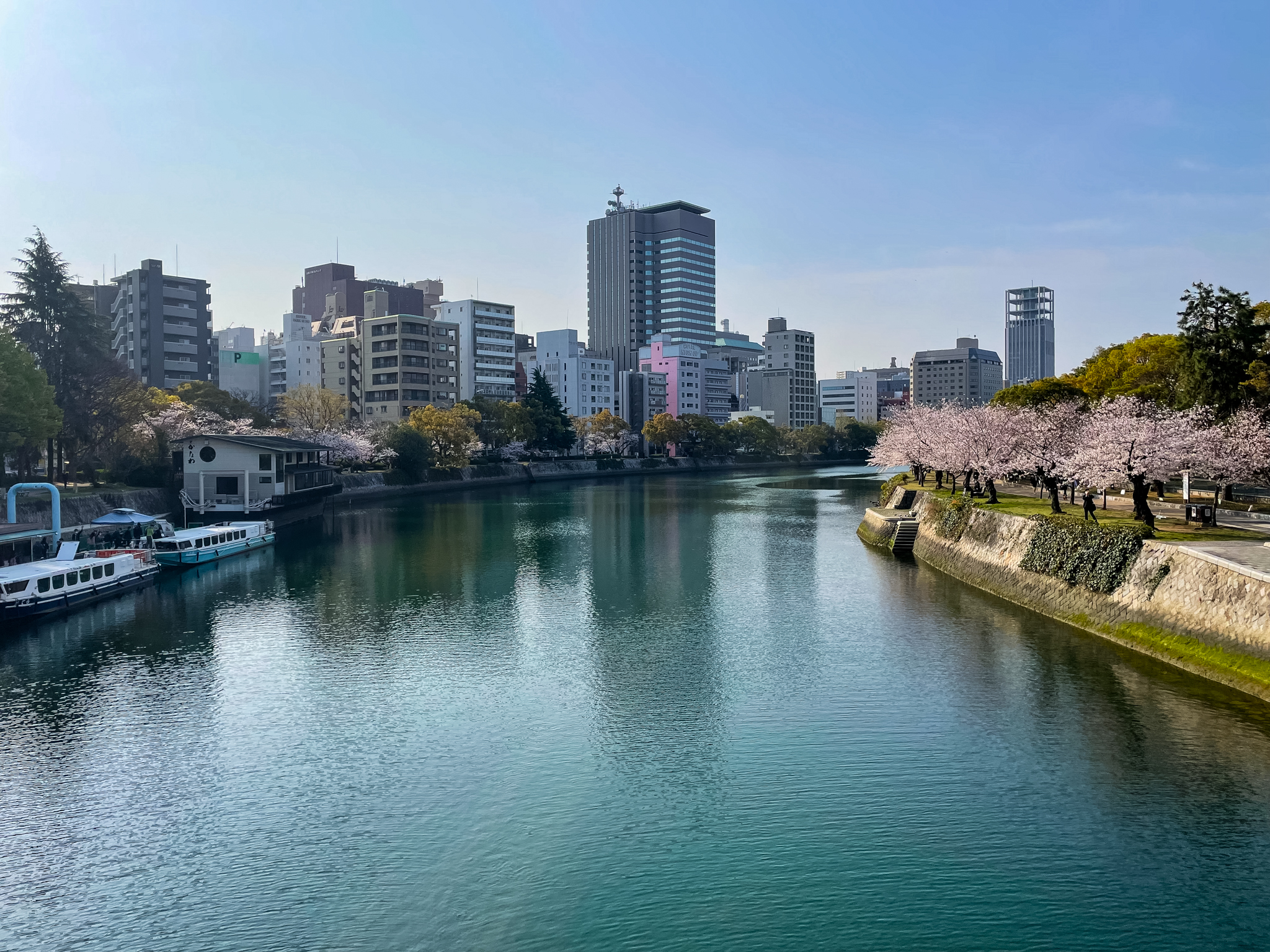 View of Hiroshima during Cherry Blossom season from the Motoyasu Bridge